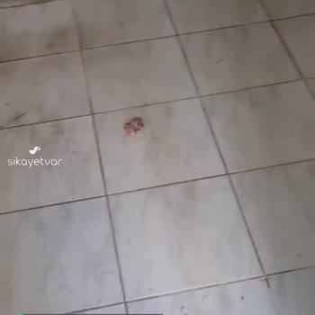Diyanet İşleri Başkanlığı Cami Pislik İçinde!