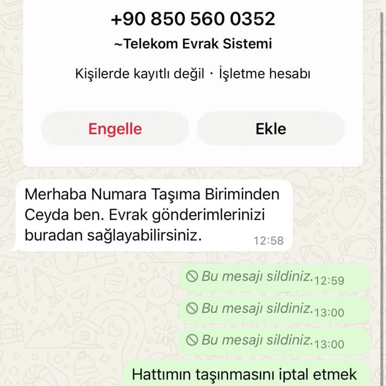 Yanıltıcı Web Sitesi Üzerinden Kimlik Bilgisi Talebi