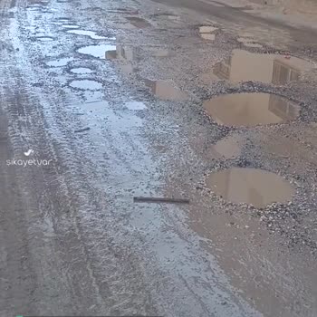 Viranşehir Belediyesi Hürriyet Mahallesi 297. Sokak Yolu