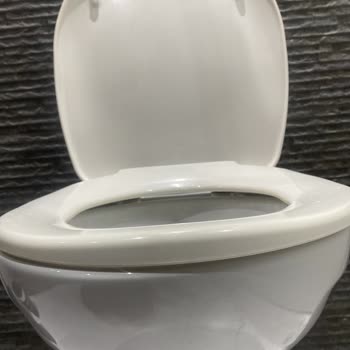 Vitra Klozet Kapağı Hayal Kırıklığı: Sararma Ve Destek Sorunu