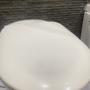 Vitra Klozet Kapağı Hayal Kırıklığı: Sararma Ve Destek Sorunu