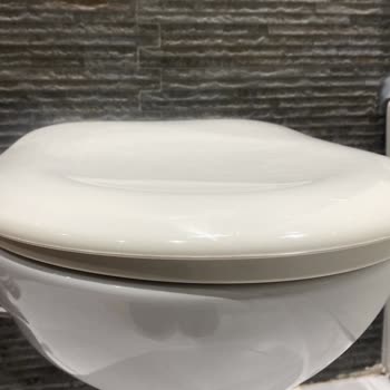 Vitra Klozet Kapağı Hayal Kırıklığı: Sararma Ve Destek Sorunu