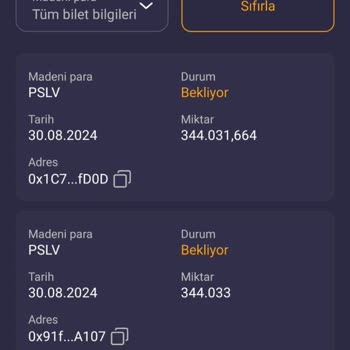 I Can’t Withdraw My 688,000 PSLV Tokens from Coinsbit Since August