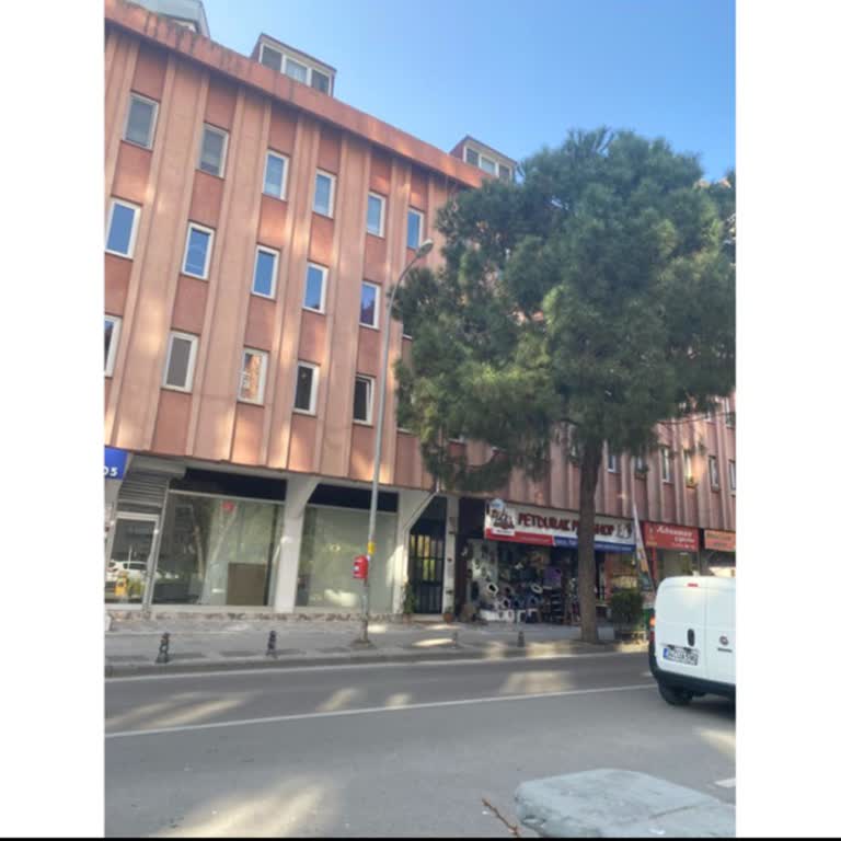 Kargo Teslim Edilmedi Ve Yanlış Bilgilendirme