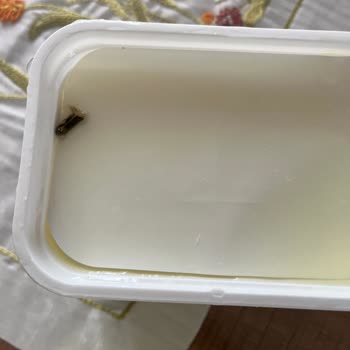 BİM Marketten Alınan Süzme Peynirde Şok Edici Buluntu