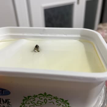 BİM Marketten Alınan Süzme Peynirde Şok Edici Buluntu