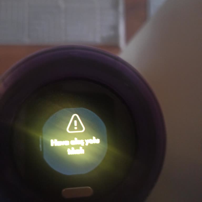 Dyson V12 Garanti Süresi Sonrası Sorunlar