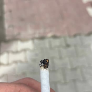 Marlboro Edge Sigarasındaki Kalite Sorunu Ve Kötü Koku Şikayeti