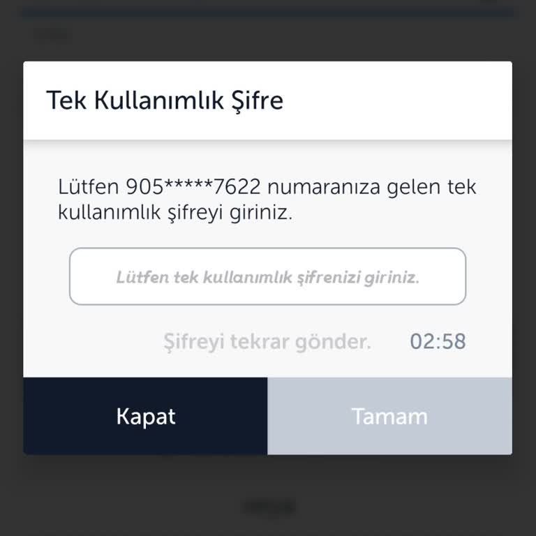 THY Uygulamasında Müşteri Hizmetleri Ve Sistem Sorunları