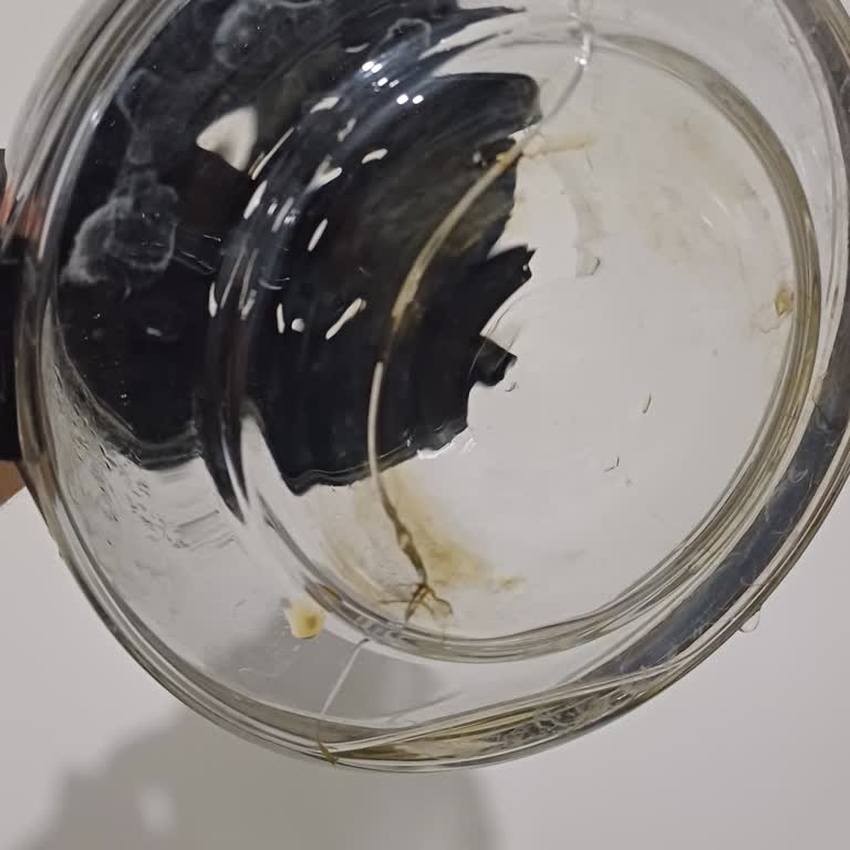 Kendi Kendine Çatlayan Kahve Makinesi Demliği Sorunu