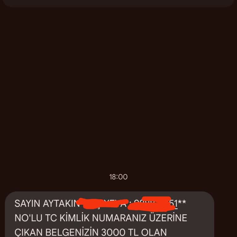 Danışmanlık Firmasından İddia Edilen Tehditler ve Sahte Sertifika Sorunu