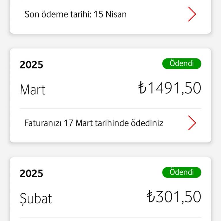Onayım Olmadan Yüksek Faturalarla Karşılaşıyorum