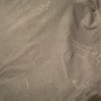 Sundry Kuru Temizleme Gömleğe Zarar Verdi,Kabul Etmiyor