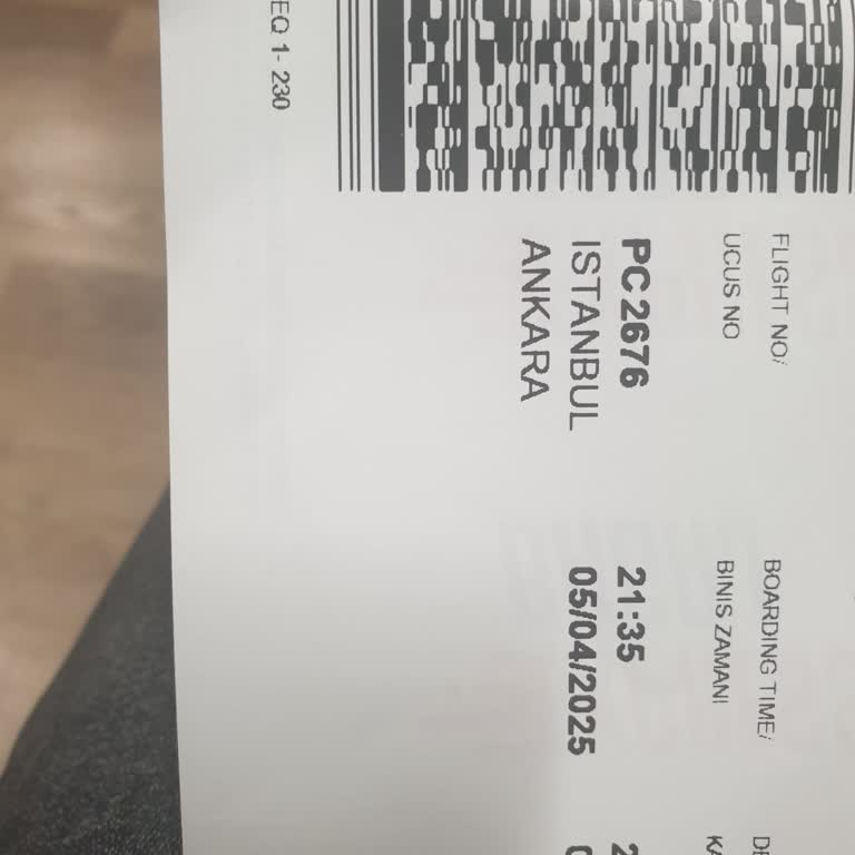 Pegasus'un Gecikme Mağduriyeti