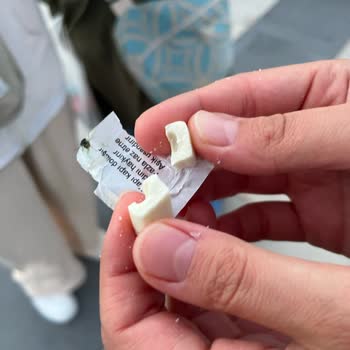 Bayat Ve Böcekli Sakız Şoku