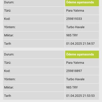 Spinco'da Kazanç Hayal Kırıklığı