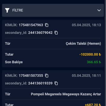 CasiFix500 Bakiyemi Sildiler