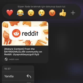 I Found a Fake Reddit Account Using My Edited Photos Without Consent