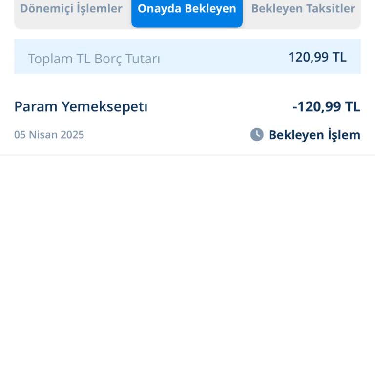 Yemek Sepeti'nde Yetkisiz İşlem Ve İletişim Sorunu