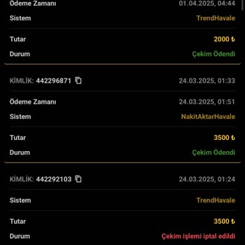 Yatırım Sitesinde Hesap Sıfırlanması Sorunu