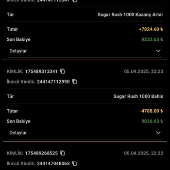 Yatırım Sitesinde Hesap Sıfırlanması Sorunu