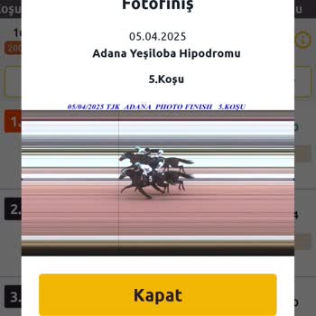Türkiye Jokey Kulübü | Tjk 5. Koşuda Büyük Bir Yanlışlık Var!