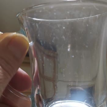 Bosch Bulaşık Makinesi: Sesli Çalışma Ve Lekeli Yıkama Sorunları