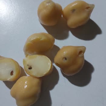 Tarım Kredi Kooperatif Market'ten Alınan Nohutlarda Böcek Sorunu