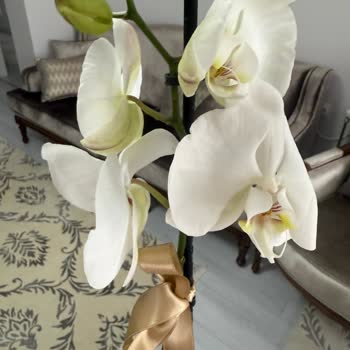 Çiçek Sepeti Yanlış Sipariş ve İade Mücadelesi