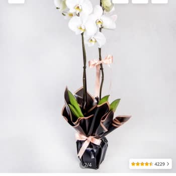 Çiçek Sepeti Yanlış Sipariş ve İade Mücadelesi