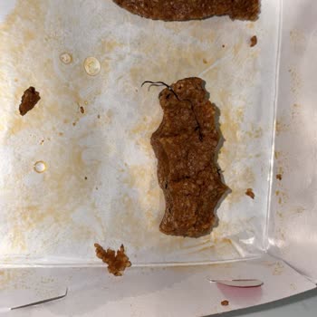 Çiğ Köfte Siparişinde Şok: Paket İçinden Çıkan İp