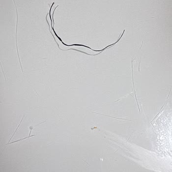 Çiğ Köfte Siparişinde Şok: Paket İçinden Çıkan İp