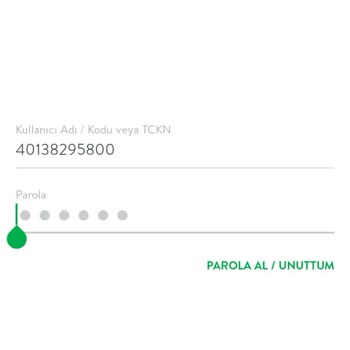 Erken Ödemelerde Findeks Sorunu