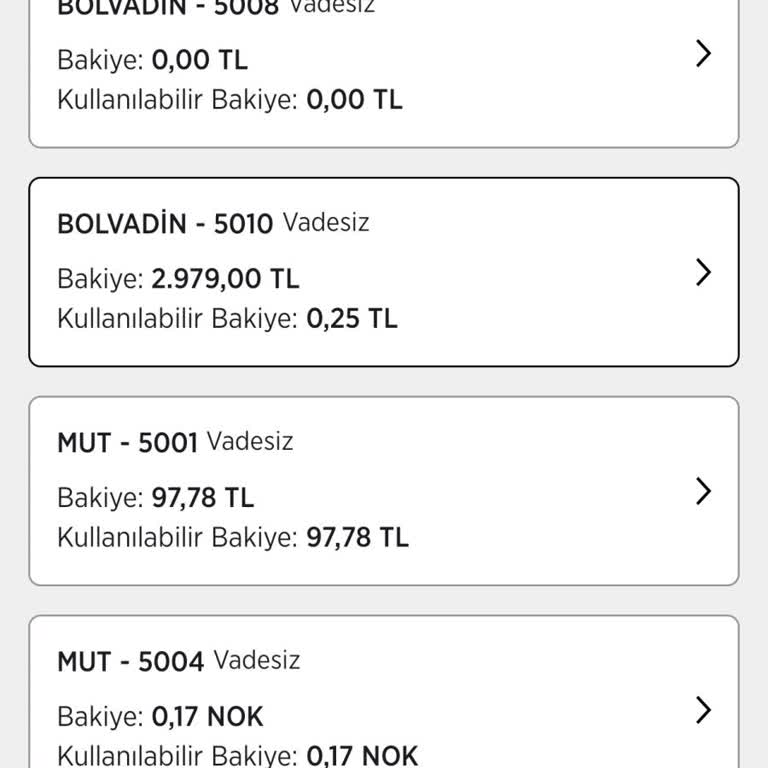 Genç Kartımda Bakiye Sorunu: KYK Bursumu Kullanamıyorum