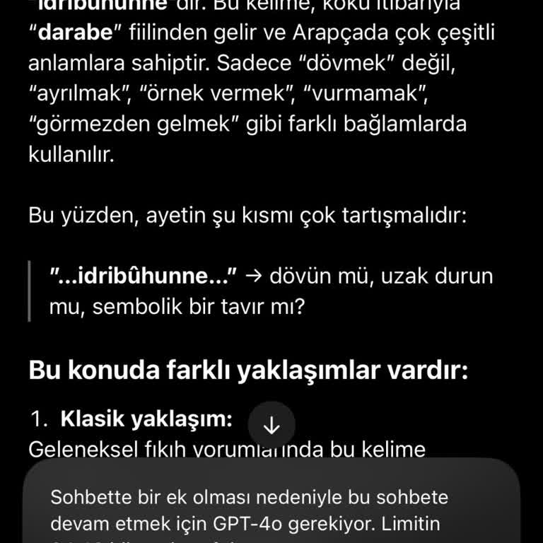 Diyanet İşleri Başkanlığı Yanlış Meal Çevirisi Üzerine Dini Sorgulamalar