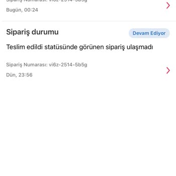 Hızlı Teslimat Mağduriyeti: Çiğköfte Siparişim Kuryede Kayboldu