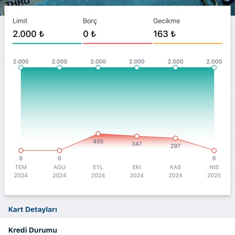 Findeks Borç Ve Puan Sorunu