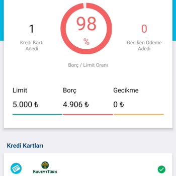 Findeks Puanım Neden Düşüyor? Güncellemeler Ve Gecikme Sorunları Hakkında Acil Çözüm Talebi