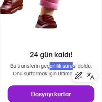 EzGlobal Yazılımında İndirme Sorunu Ve Destek Beklentisi