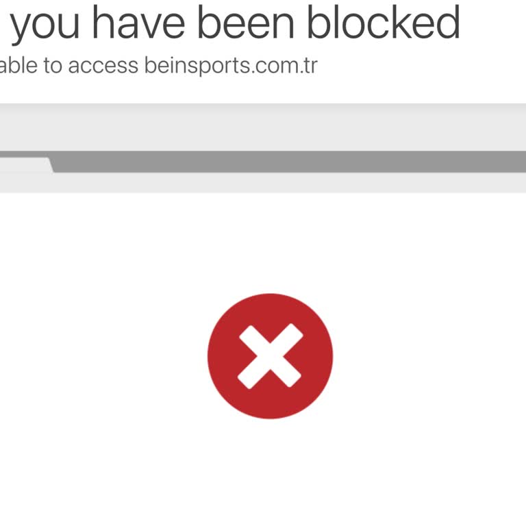 Erişim Engeli Sorunu