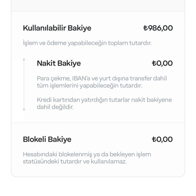 Acil Durum: Papara'da Kapanan Para