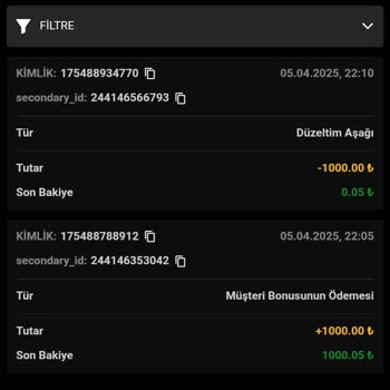 Promokod Etkinliğinde Haksız Kazanç Silinmesi