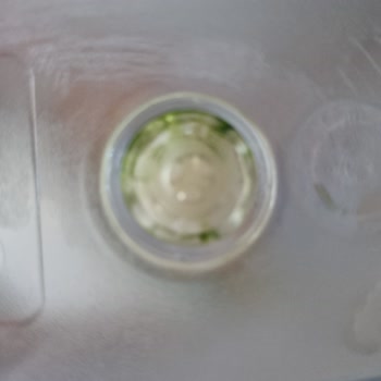 Brita XL Sürahisinde Yeşil Yosun Sorunu