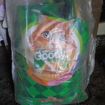 Goody Kedi Maması Kediler Tarafından Reddediliyor