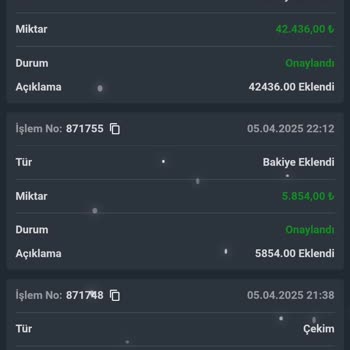 Ziramarsbet İşlemleri Bitirip Parayı Hesabıma Aktarmadılar