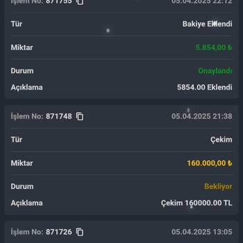 Ziramarsbet İşlemleri Bitirip Parayı Hesabıma Aktarmadılar
