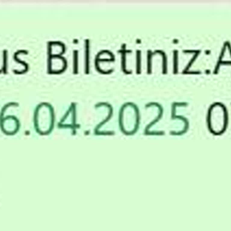 Yolculukta Yaşanan Aksaklıklar Ve Memnuniyetsizlik