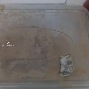 Serel Helvanın İçinden Taş Çıktı