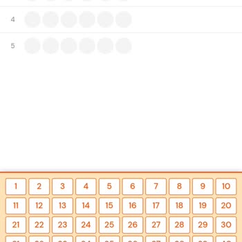 Milli Piyango Uygulaması Para İadesi Sorunu