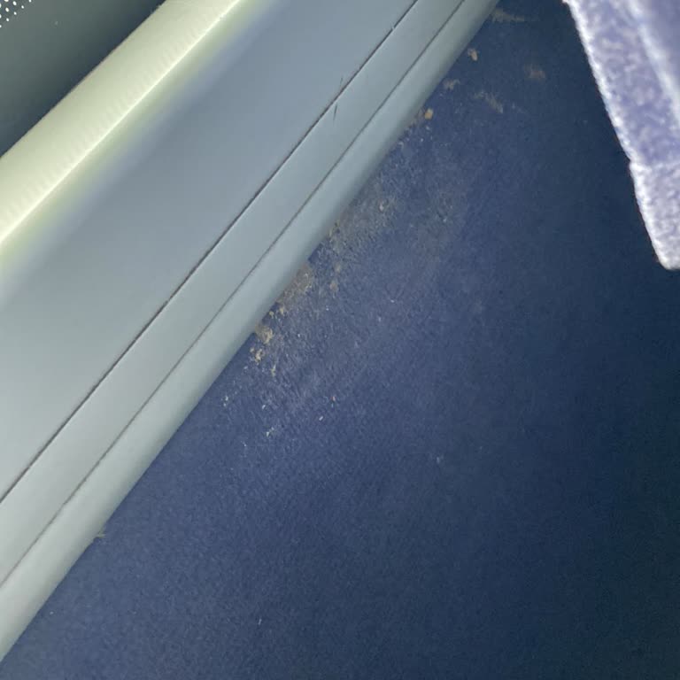 Kamil Koç Otobüsünde Evcil Hayvan Krizi: Saygısız Ve Çirkin Üslup